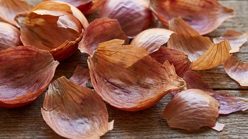 Россиян предупредили о штрафах за снятие луковой шелухи в магазинах