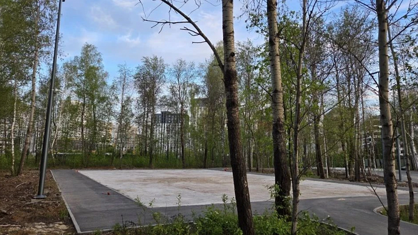 Стало известно, где в Тюмени появится новая площадка для падл-тенниса