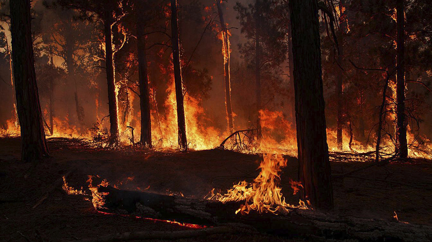 В Ишимской авиазоне установлена средняя степень пожарной опасности