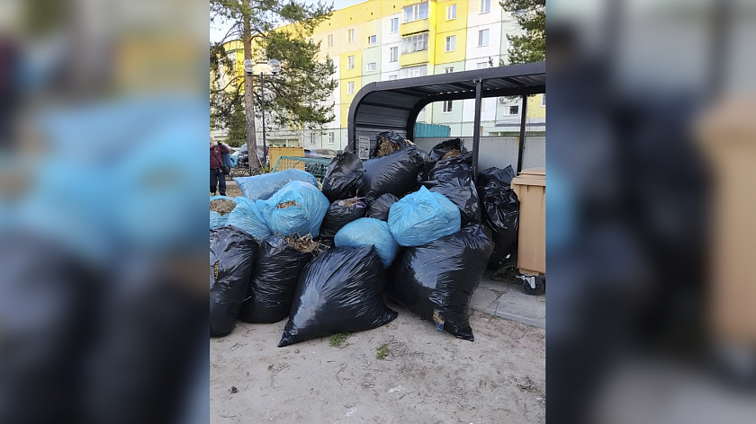 Ноябрьцы собрали 50 мешков мусора на субботнике