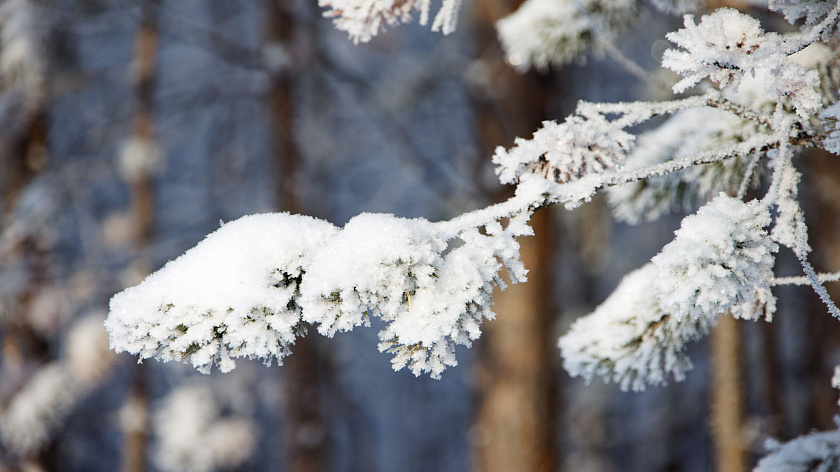 В Тобольск вернутся холода 19 апреля